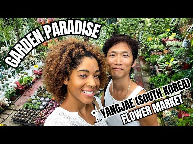 Garden Paradise in Seoul | Yangjae Flower Market |  AMBW COUPLE | KR/ENG SUB