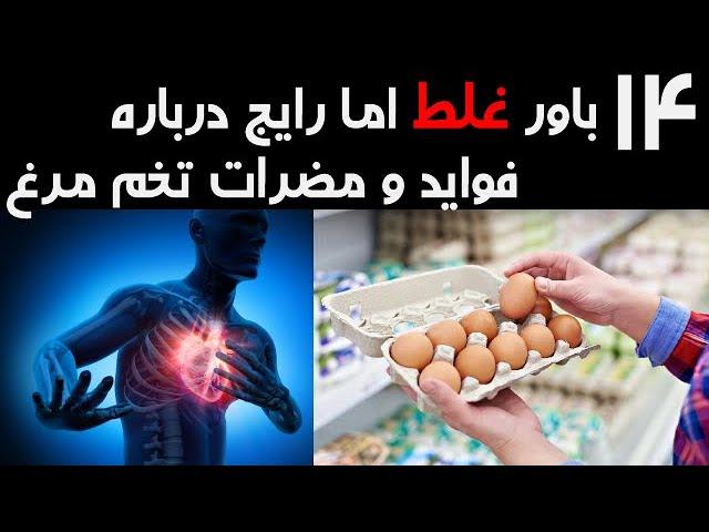 باورهای غلط اما رایج درباره فواید و مضرات تخم مرغ که هنوز باور میکنیم