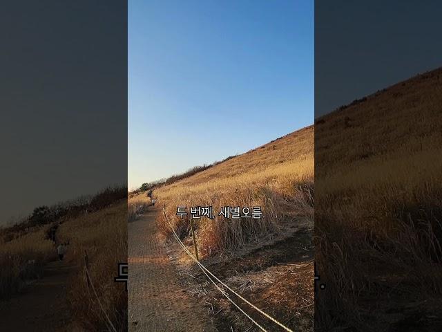 제주의 매력에 빠지다