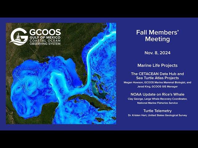 GCOOS Fall Members' Meeting 2024 — Marine Life Projects