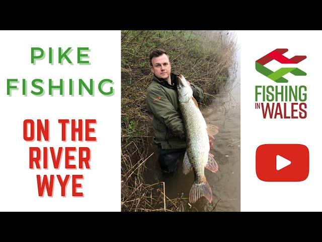 Fishing In Wales - Pike fishing on the river Wye