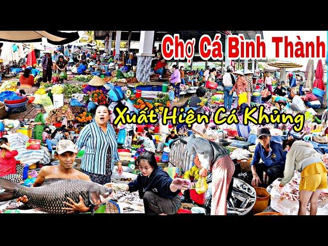 Chợ Cá Bình Thành Trên Sông Tiền Quá Nhiều Cá Khủng - Bà Con Kiếm Bạc Triệu Mỗi Ngày