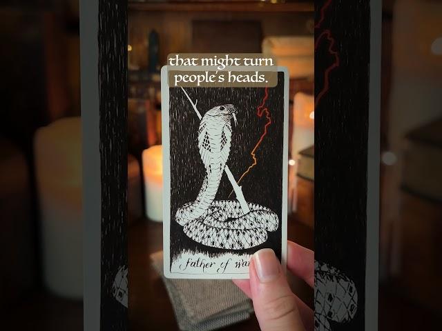 You Were Destined to See This Message   #tarot #tarotreading