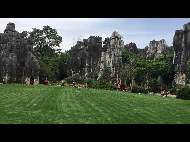 Stone Forest Yunnan China