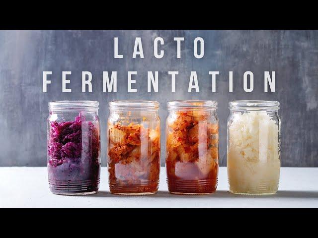 Simple guide to fermentation