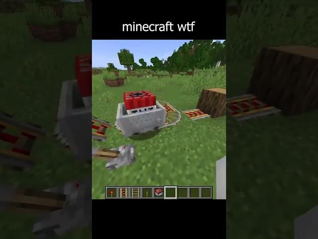 minecraft wtf bro  #minecraft