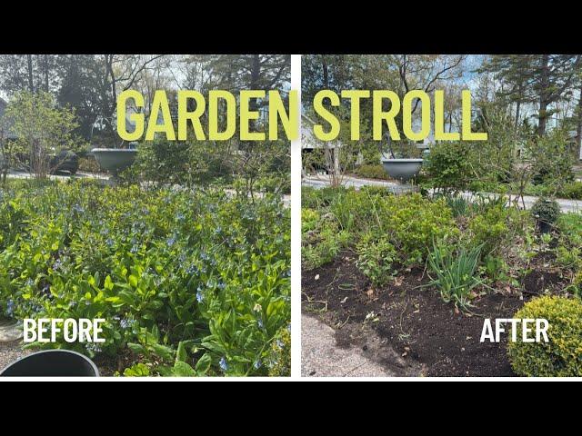 So much growth in the garden!