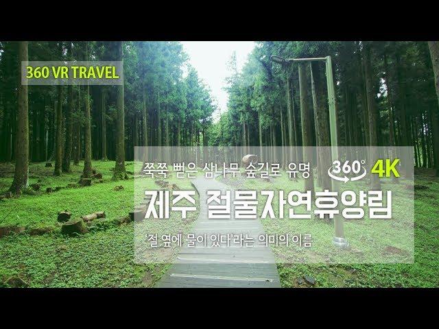 [360 VR TRAVEL] 제주 절물자연휴양림 - 4K VR 360도 여행영상