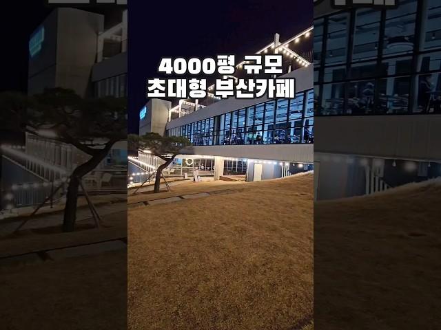 4000평 규모의 초대형 부산카페 추천