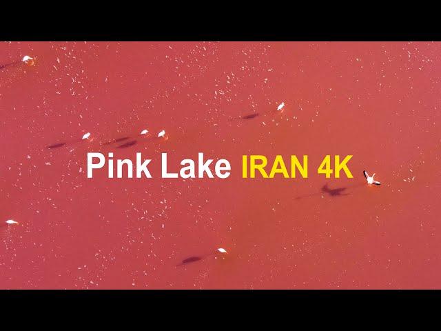 Amazing Pink Lake In Iran 4k |  دریاچه صورتی مهارلو  شیراز