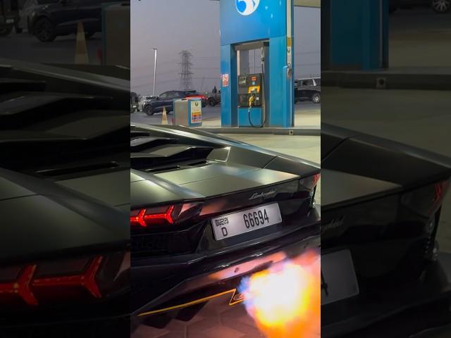 INSANE LAMBORGHINI AVENTADOR REVVING AND SPITTING FLAMES