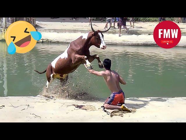 Funny & Hilarious People's Life  #191 - Try not to Laugh | Instant Regret Fails Compilation 2024