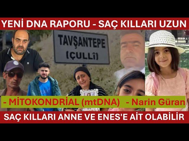 YENİ DNA RAPORU - SAÇ KILLARI ANNE VE ENES'E AİT OLABİLİR - MİTOKONDRİAL (mtDNA)   - Narin Güran