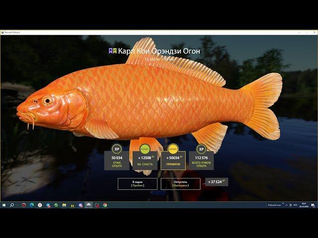 ОТЛИЧНЫЙ КЛЕВ ВЕРНУЛСЯ НА МЕДНОЕ? ФАРМ НА КАРАСЕКАРПАХ РУССКАЯ РЫБАЛКА 4 РР4