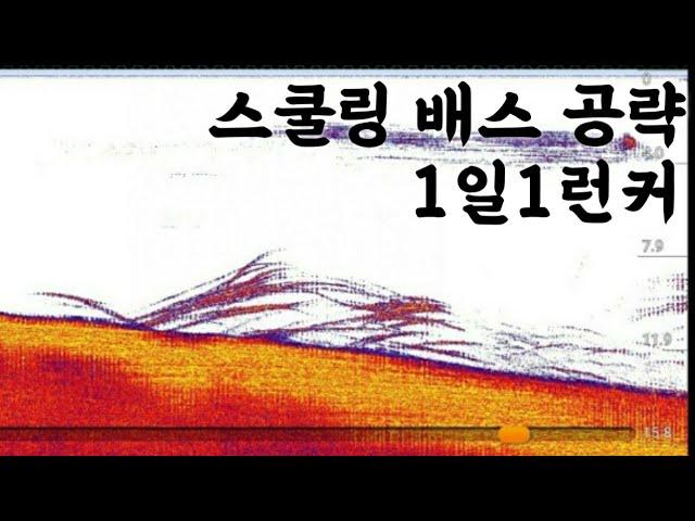 가을 배스낚시! 미리보는 겨울배스? 안동호 하류에서 스쿨링 덩어리 공략! 메탈지그 VS 메탈지그 대결까지! ( feat 런커 및 넘커 다수 출동 )