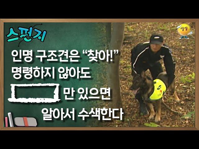 인명 구조견은 찾아라고 명령하지 않아도[           ]만 있으면 알아서 수색한다. [스펀지 레전드] | KBS 051015 방송