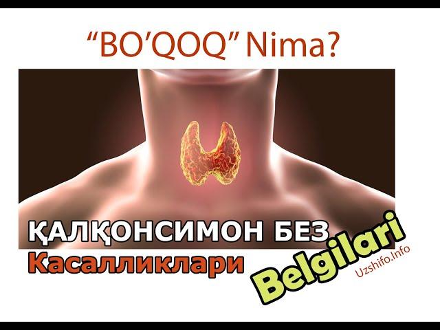 ️БЎҚОҚ Аломатлари! ҚАЛҚОНСИМОН БЕЗ КАСАЛЛИКЛАРИ Турлари ва Белгилари