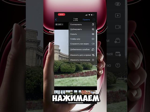 Как из LIVE фото сделать видео