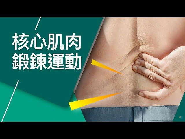 【居家運動】核心肌肉鍛鍊運動 / 下腰背痛運動 Core Exercises for Low Back Pain