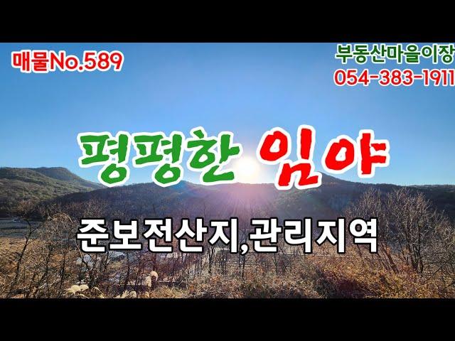 매물No.589 경북 의성군 안사면 관리지역 의성임야 경북임야 의성땅 의성토지 매매