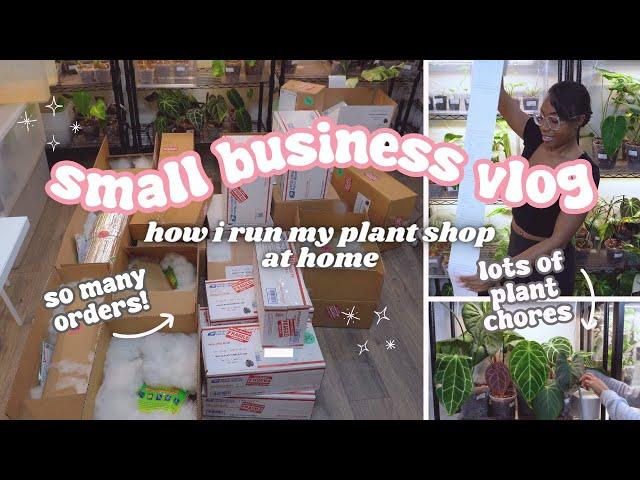 Small Business Vlog🪴: So Many ORDERSPacking&Shipping Rare Plants, Ikea Greenhouse Cabinet Refresh