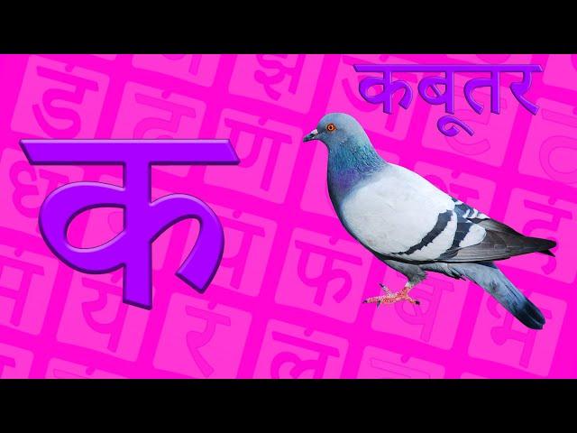 क ख ग घ ङ  क से कबूतर | हिंदी स्वर व्यंजन वर्णमाला | छोटे बच्चो की हिंदी पाठशाला | Ka se Gya tak