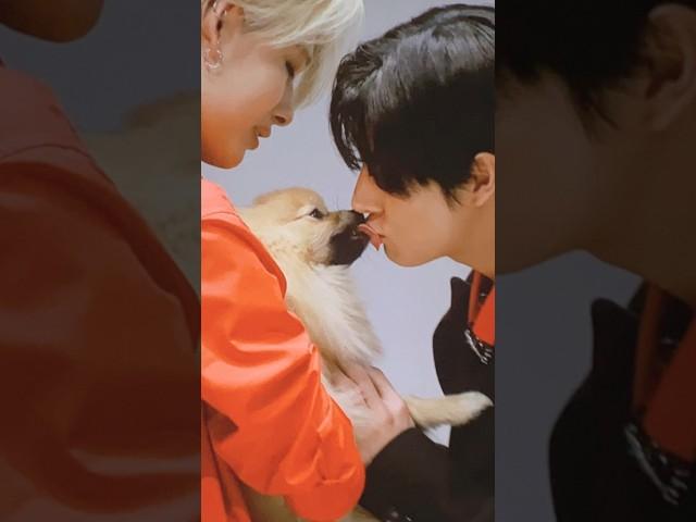 ni-ki playing with the dog even before their fansign event  #ni_ki #nishimurariki #enhypen #engene