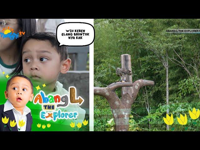 Serunya Abang L Melihat Bermacam - Macam Binatang di Aviary Park - Abang L The Explorer