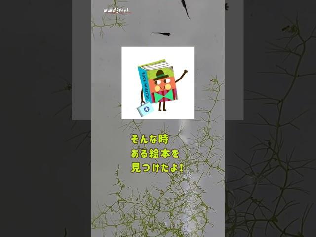 【ビオトープ】針子が食べられる‼️恐怖の植物〰️タヌキモ