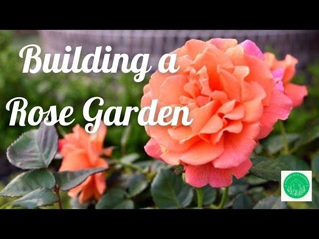 Building a Rose Garden