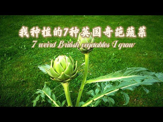 我种植的7种英国奇葩蔬菜 7 weird British vegetables I grow 种植体会 到底值不值得家庭种植?可以吃的花园 第38集 The Edible Garden 38 CC字幕