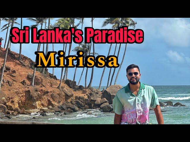 Beautiful Beach Life - Mirissa | Whale & Dolphin Watching | Sri Lanka Beaches | Mirissa Top Places |