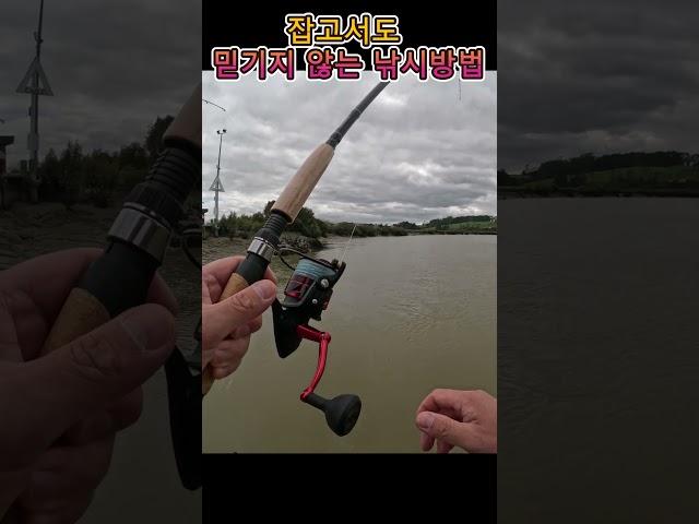 3500원 햄미끼 실화 #shorts #fishing #eelfishing #민물장어 #풍천장어  #낚시