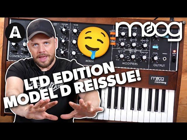 Moog Minimoog Model D 2022 Reissue! - Jack's Impressions!