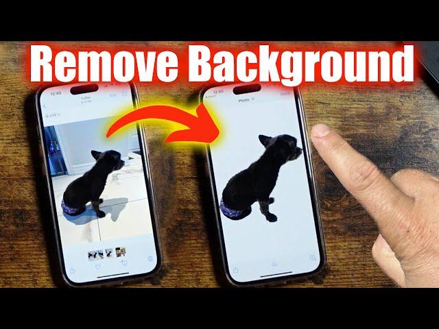 How To Remove Background From iPhone Photos - iPhone Photo Cutout