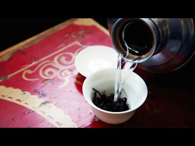 Travelling The World To Find The Perfect Cup Of Tea | The Tea Explorer