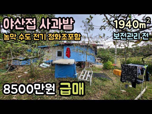 (매물번호14193) 8500만원 보은부동산 1940㎡(587) 보은땅 보은토지매매매물 청주부동산 시골땅 촌땅 귀농귀촌 사과밭 농막 주말농장 전원주택지 집터 대전부동산 대전토지