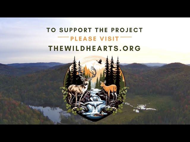 The Wild Hearts Animal Sanctuary Project Presentation.