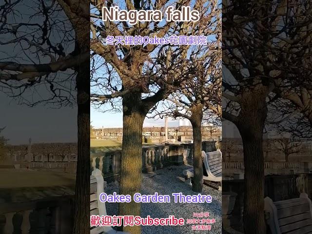 ＃Ivy分享生活點滴＃Niagara falls #加拿大多倫多＃ Canada Toronto Vlog #Shorts Winter Oakes Garden Theatre冬天裡Oakes 花園