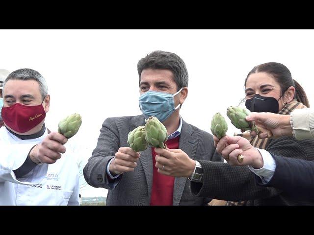 Inicio Campaña Alcachofa Vega Baja del Segura