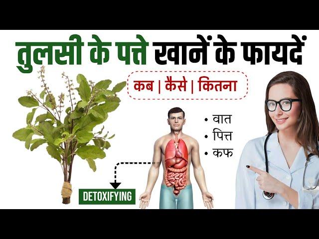 Tulsi Khane Ke Fayde,(तुलसी के पत्ते के फायदे और नुकसान),Benefits of Basil Leaf