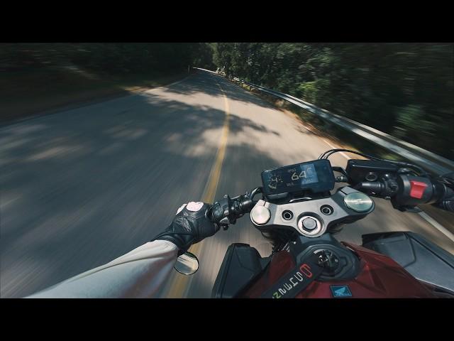 2021 HONDA CB650R - Ride in the woods [whit clip on - a2 license 35kw -4K]