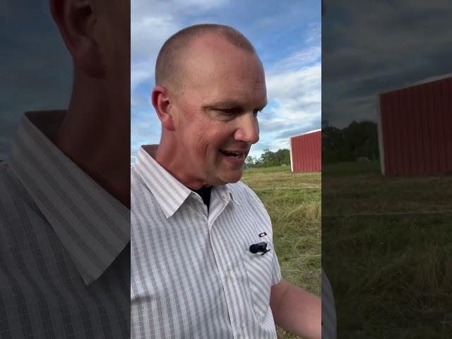 How we control weeds with COWS not CHEMICALS!     #farming #rotationalgrazing #cattle #grazing