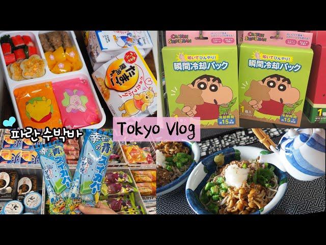 Volg I making a lunchbox, easy meals I Good price Japanese mart, Daiso shopping I hospital, pharmacy