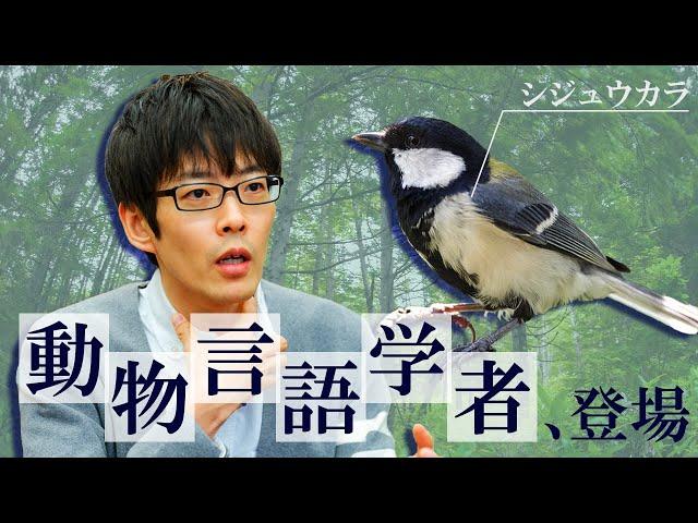 世界的に大注目の「動物言語学者」登場。鳥の言葉が分かるらしい。#246