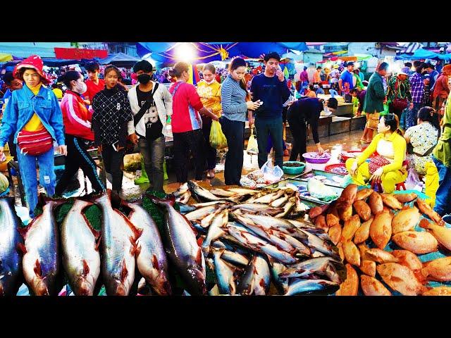 Food Rural TV, Early Morning Fish Market Scene - Daily Lifestyle of Vendors Buying Fish, Seafood