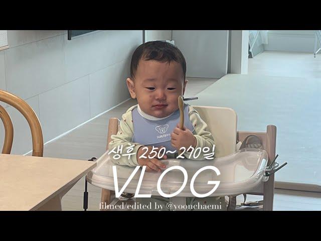 vlog | 제법 귀여운 8개월차 아기 일상