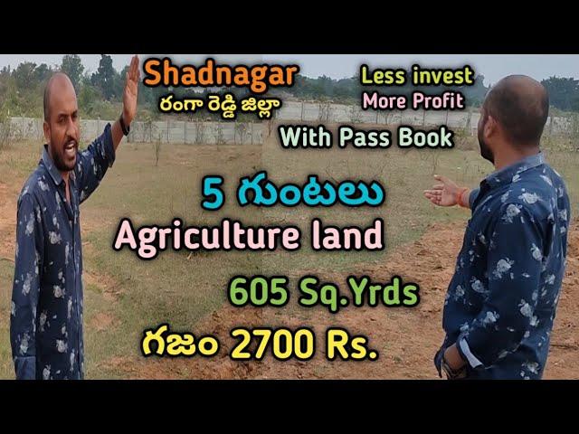 5 గుంటలు Farm Land For Sale in Shadnagar l 2700 RS.Per Sq.yrd.l అతి తక్కువ ధరకు RRR కి దగ్గర l #plot