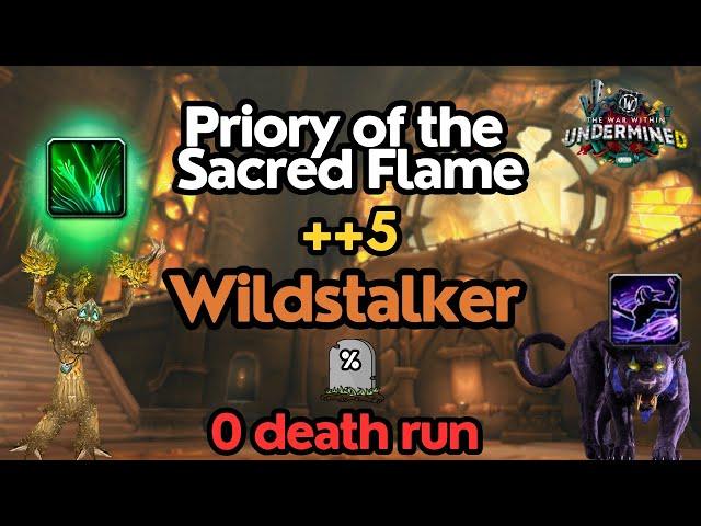 Is Cat'weaving Still Strong?! | PSF ++5 | Resto Druid POV | WoW TWW 11.1 Undermined