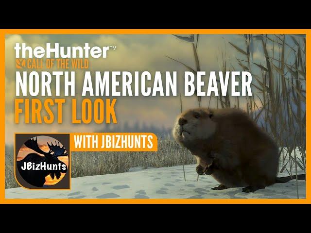 FIRST LOOK at beavers on Alberta with @JBizHunts